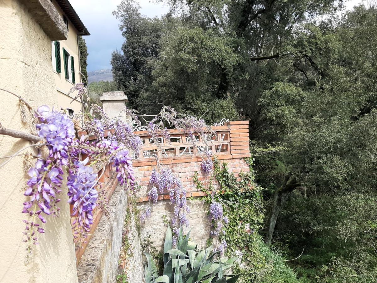 Villa Al Ponte Case Malva ภายนอก รูปภาพ