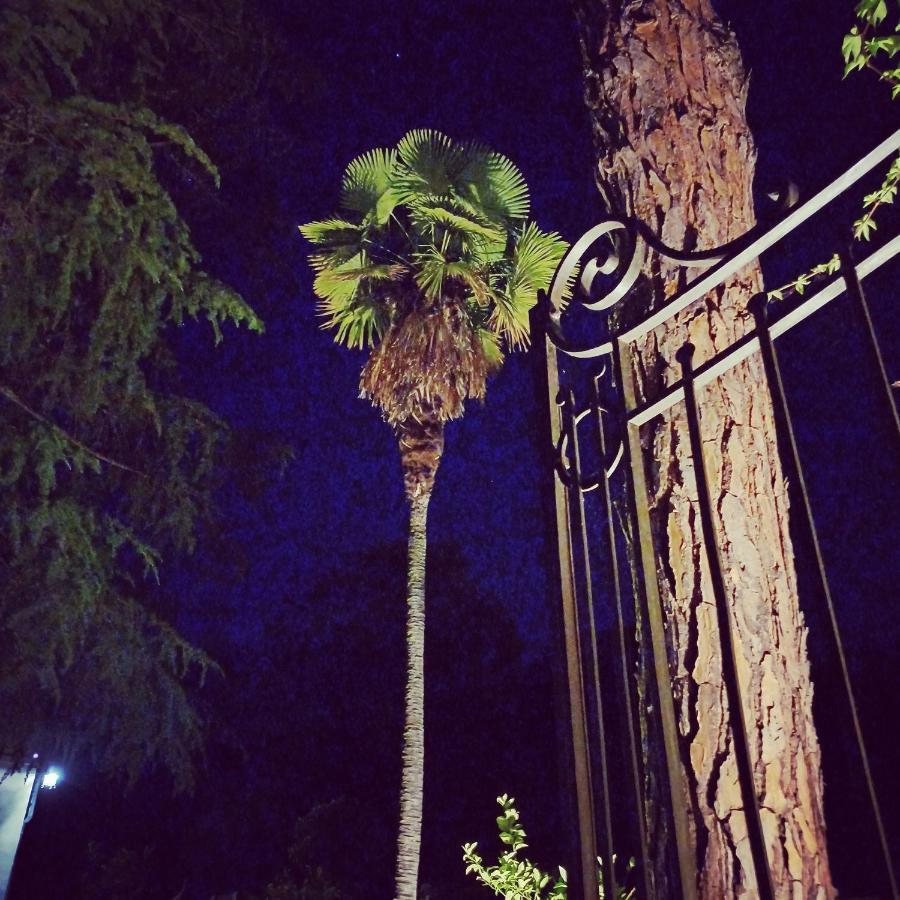 Villa Al Ponte Case Malva ภายนอก รูปภาพ